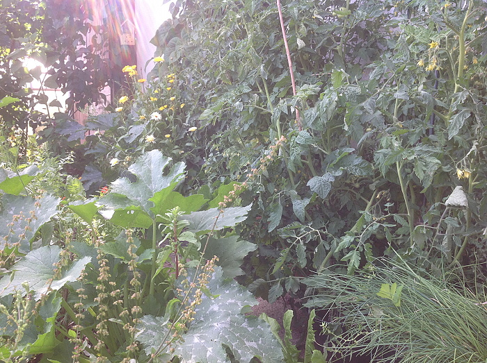 Gartenfülle Mischkultur im Selbstversorgergarten