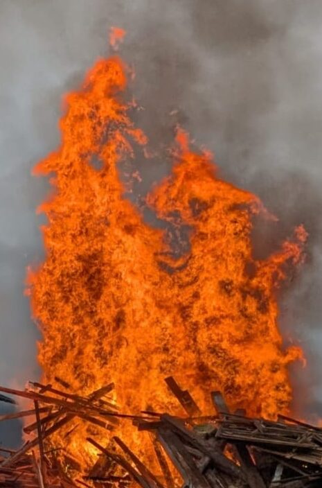 Feuergeist Drache